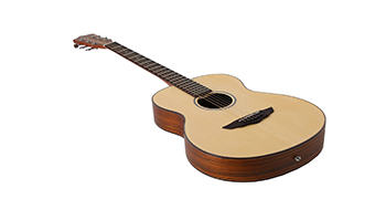 吉他發(fā)霉了可以用除霉劑處理嗎？