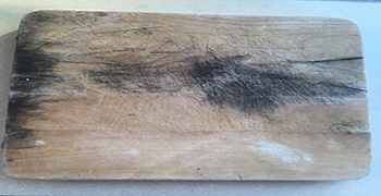 木砧板竟是累積細菌的好地方，砧板的防霉處理方法