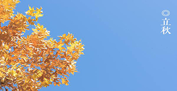 今日立秋，防霉劑廠家提醒您立秋時(shí)節(jié)注意防霉變