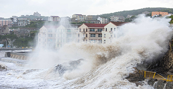 臺(tái)風(fēng)過(guò)后墻壁發(fā)霉層出不窮？還不趕緊備好除霉劑？