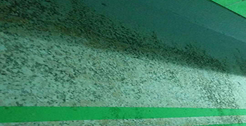 車庫除完霉后多久可以正常使用？