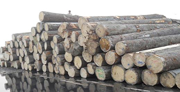 想知道木材為什么會變色嗎？防霉劑廠家來告訴你！