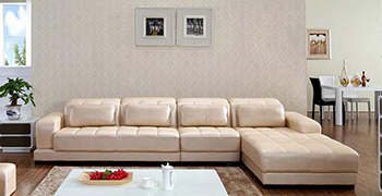 皮沙發(fā)發(fā)霉怎么預(yù)防？