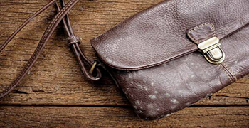 皮包為什么會發(fā)霉？-贊譽防霉