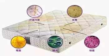 防霉劑廠家為你解答床墊細菌多不多？