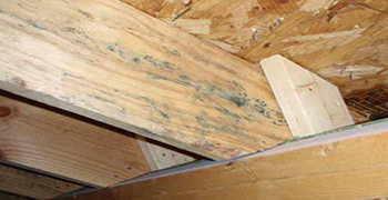 木材防霉劑能有效預(yù)防木材發(fā)霉腐爛