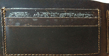 微生物災(zāi)害所涉及的領(lǐng)域有多少（二）？