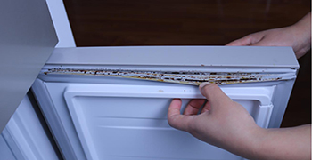 梅雨季即將來(lái)臨，除霉方法你知道多少？