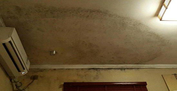 墻面為什么會(huì)發(fā)霉？