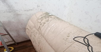 床頭發(fā)霉應(yīng)該怎么處理？