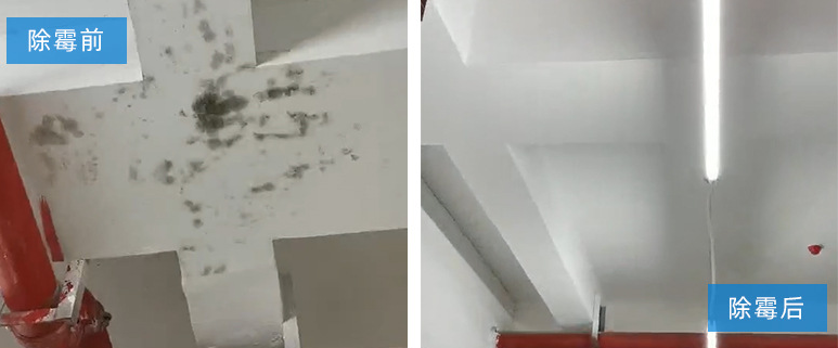 關(guān)于墻體除霉一定要試試它！