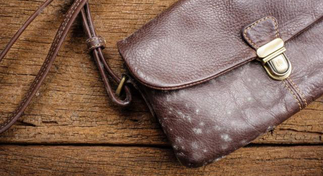 防止皮革發(fā)霉的辦法！