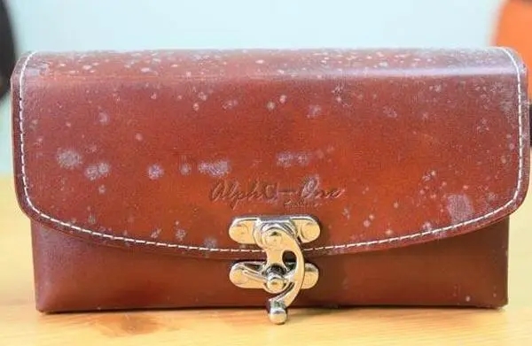 不知道皮革包包怎么保養(yǎng)?今天霉博士就來給大家科普一下