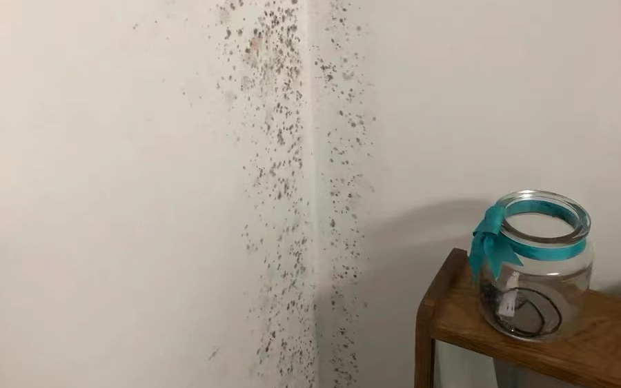 墻面發(fā)霉怎么處理？教你一招自己在家就能解決