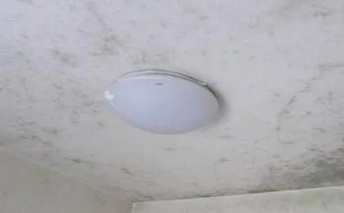 石膏板發(fā)霉的原因及除霉辦法！