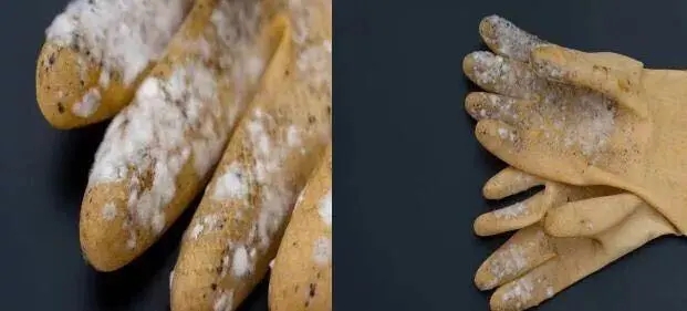 塑膠手套發(fā)霉了怎么辦？工廠必看塑膠手套防霉方案！