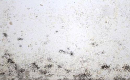 倉庫墻壁發(fā)霉