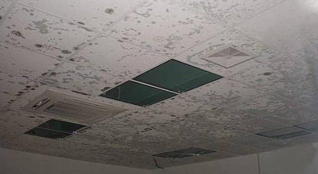 石膏板發(fā)霉