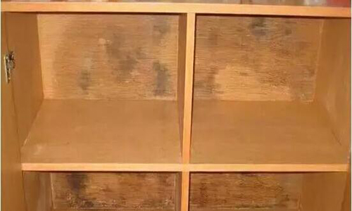 背景墻木板發(fā)霉后怎么處理？