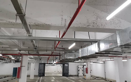 地下車(chē)庫(kù)發(fā)霉