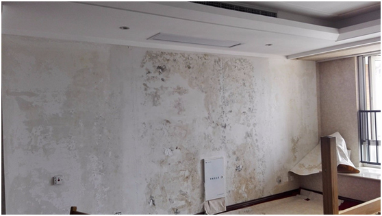 樓盤發(fā)霉