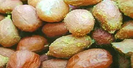 發(fā)霉的花生