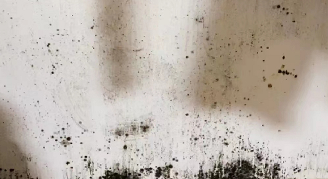 白墻發(fā)霉.jpg