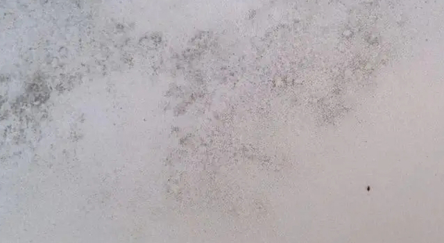 墻壁發(fā)霉.jpg